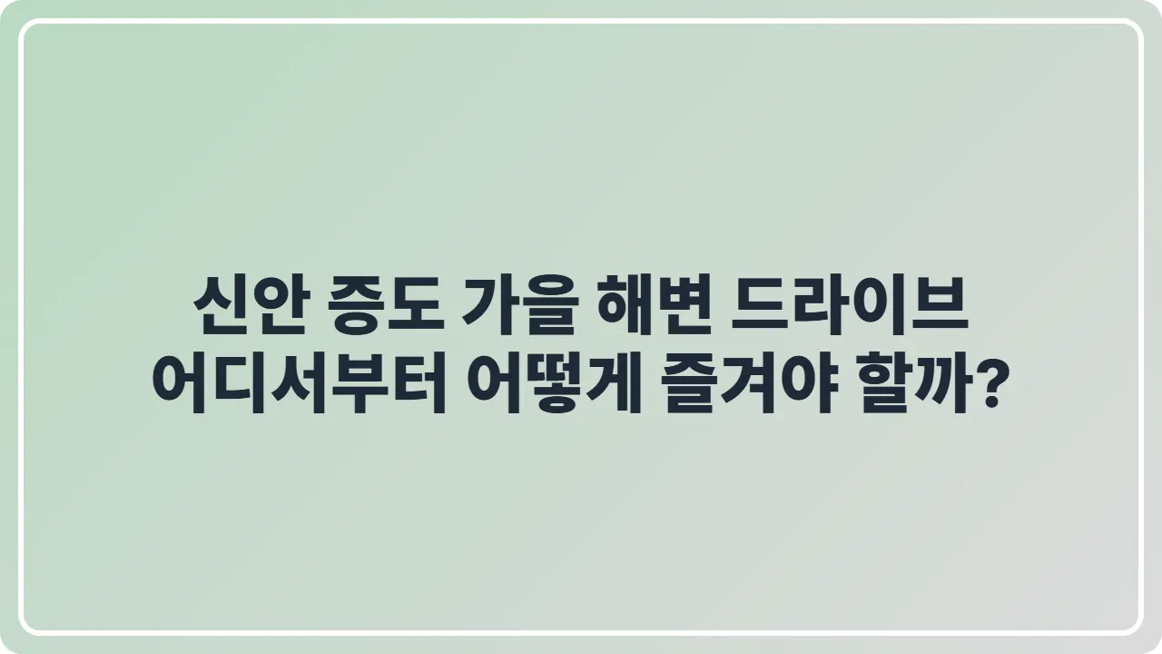 신안 증도 가을 해변 드라이브, 어디서부터 어떻게 즐겨야 할까?