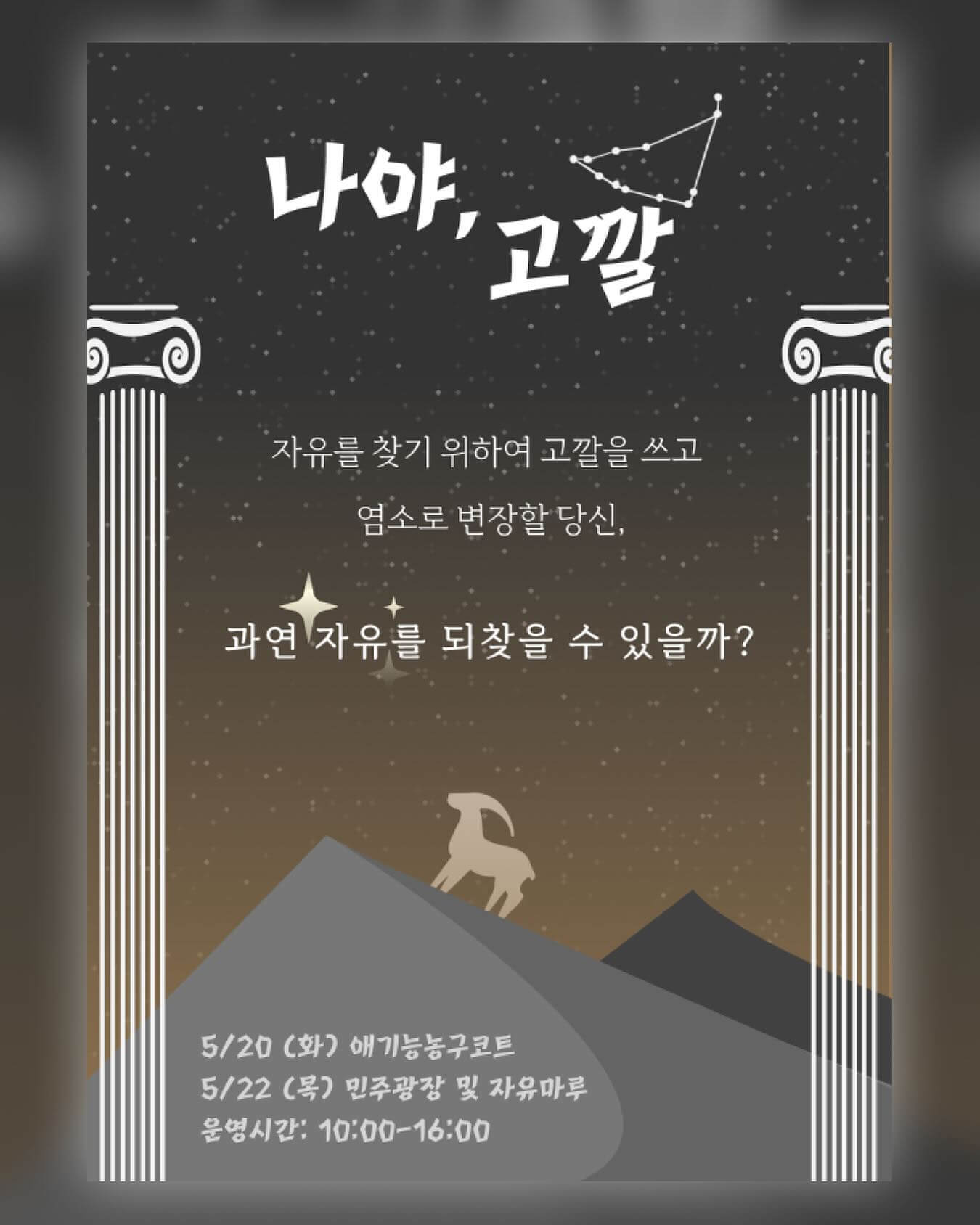 고려대학교 대학교 축제 일정 라인업