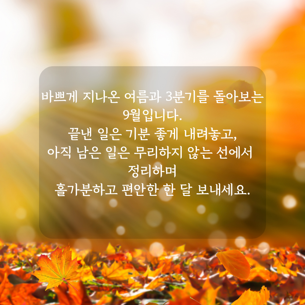 9월 3분기 마무리 인사말 - 여름과 3분기 돌아보기