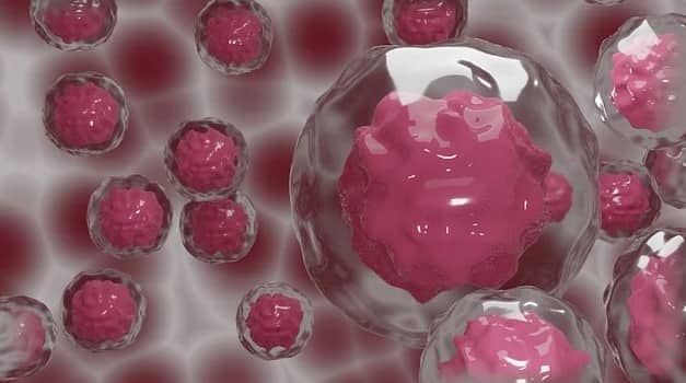 DNA를 조작해서 더 건강한 아기를 만드는 시대가 올까?