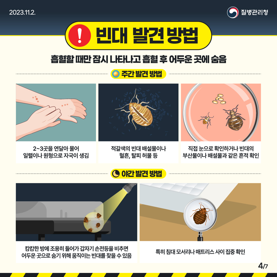 빈대확인법, 빈대대처밥