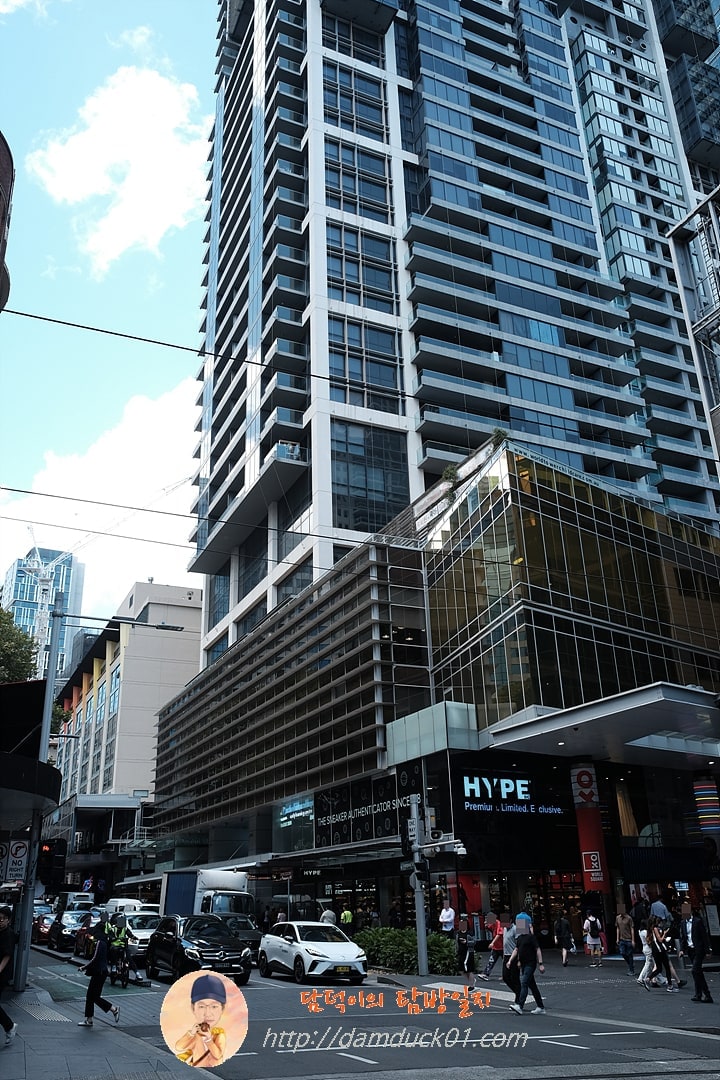 2024년 12월 19일 시드니