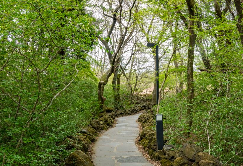 제주여행지도 제주사진명소 제주동부여행코스