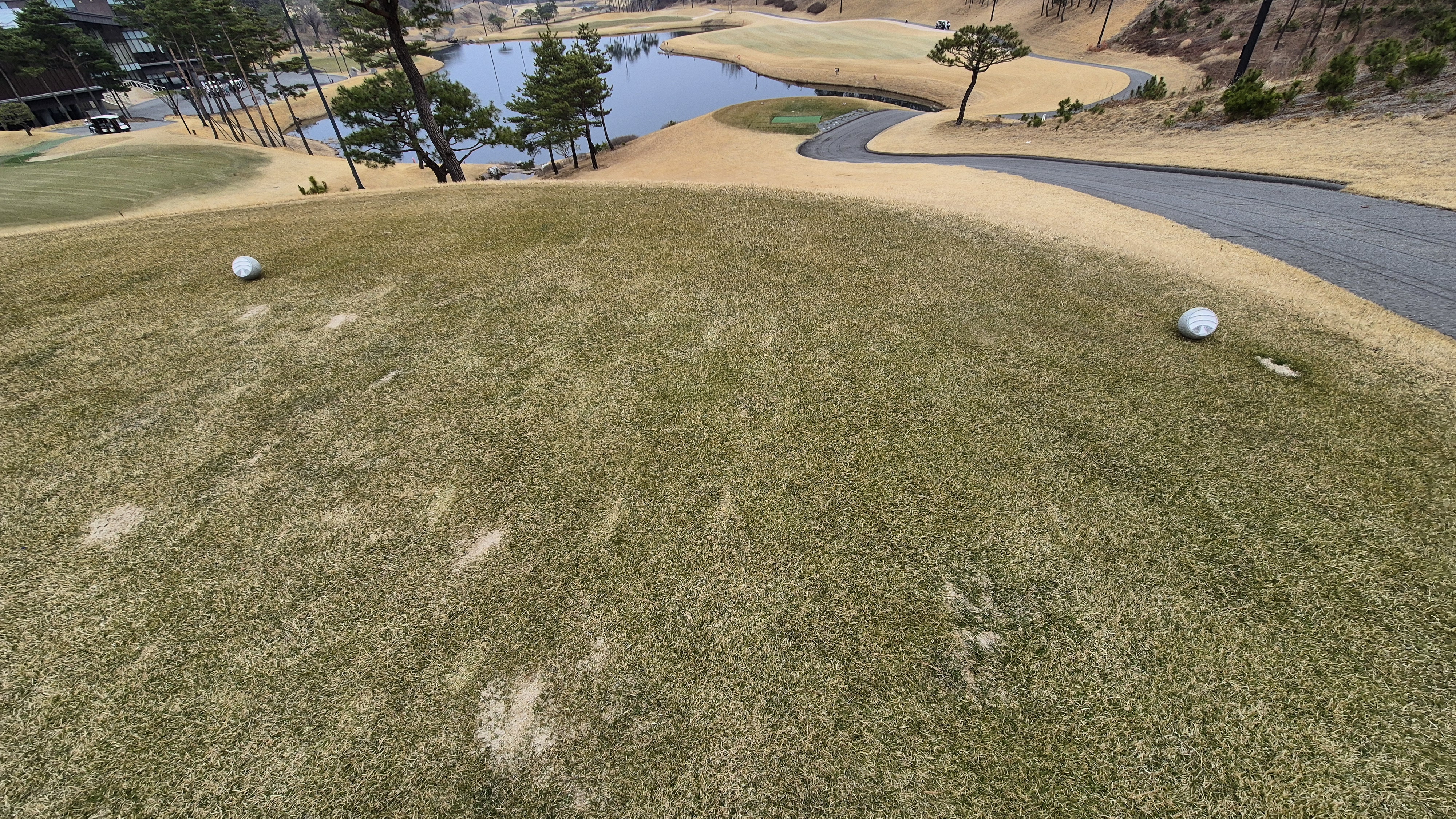 세현cc 티잉구역 상태