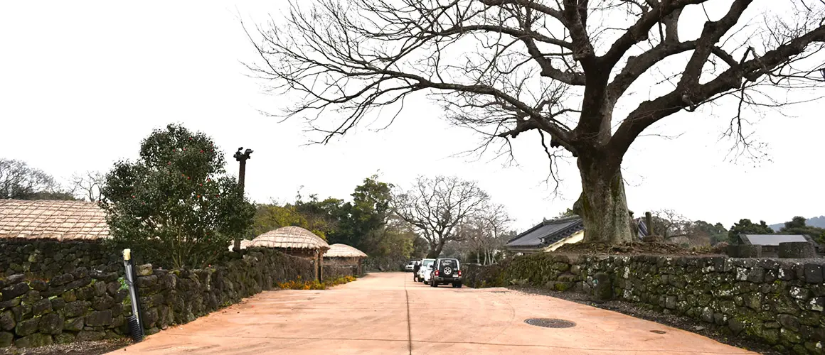 제주 전통 돌담길 산책 풍경 관련 사진 (출처 : 제주관광공사 홈페이지)