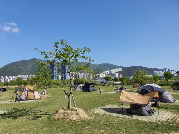 대저캠핑장사이트