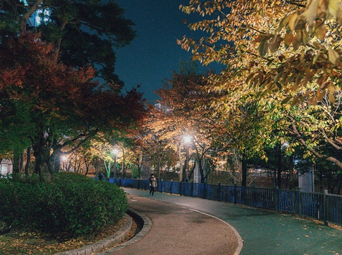 용인 가볼만한곳 이미지 입니다.