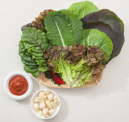 8월에 심는 작물 종류 여름 텃밭 주말농장 씨앗 모종 키우기 추천 TOP 10 3