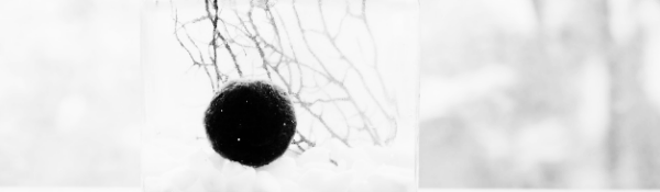 마리모 물갈이 주기: 15~20일