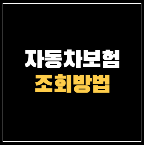 자동차보험 조회 초간단 방법! ❘ 내 차 보험 찾기 1분