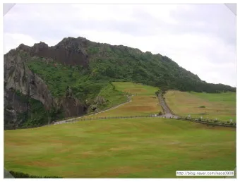 성산포항 여객터미널 우도 배시간표 배편 예약 요금_12