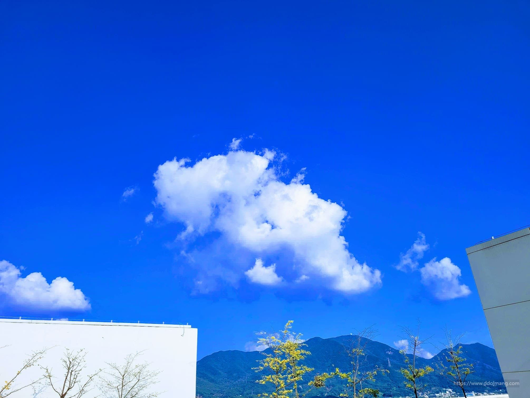 파란 하늘에 구름하나 가을하늘