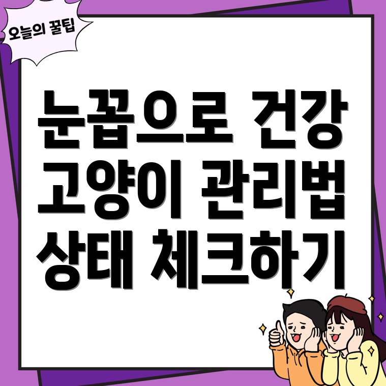 고양이 눈꼽 건강 정보