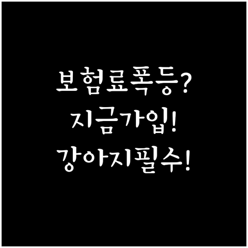 강아지 보험료 인상 속 지금 가입해야..