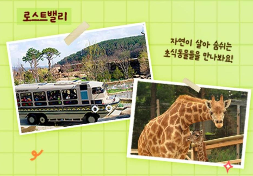 &ldquo;2025 에버랜드 야간이용권 초특가! 할인 예약&amp;#44; 여름밤 데이트&amp;가족 나들이 완전정복&rdquo;