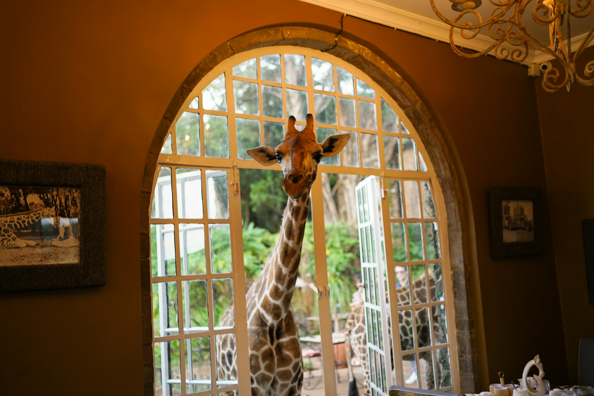 Giraffe Manor Hotel Nairobi