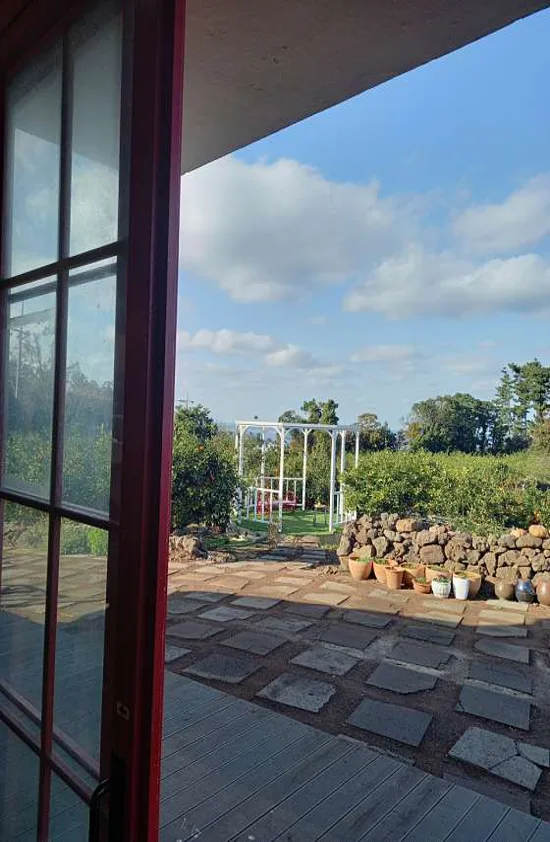 귤빛정원 감귤체험농장