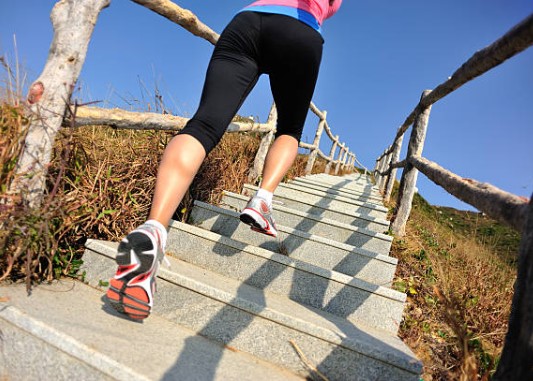 뱃살 지방 빼고 근육 붙이는 법