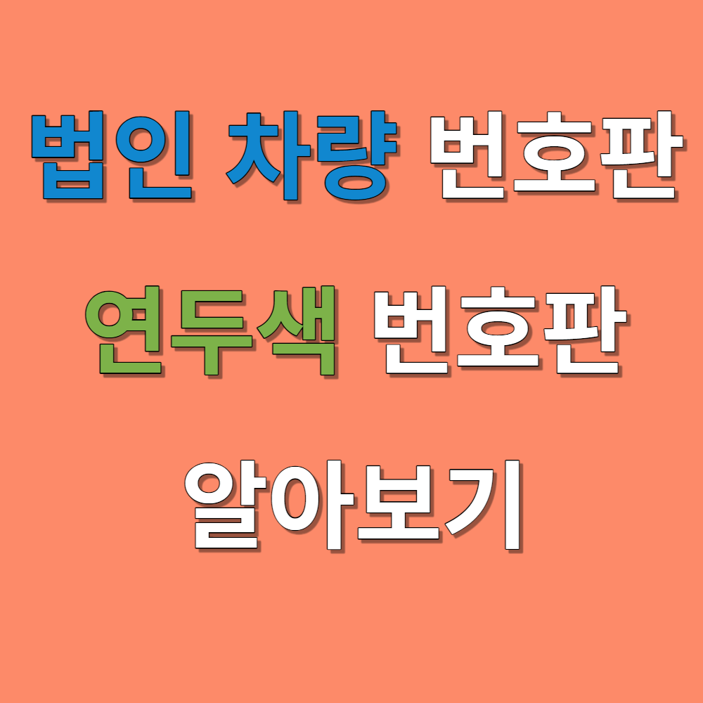 법인 차량 번호판