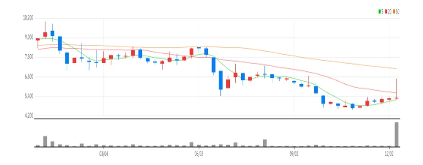 누리플렉스 주봉