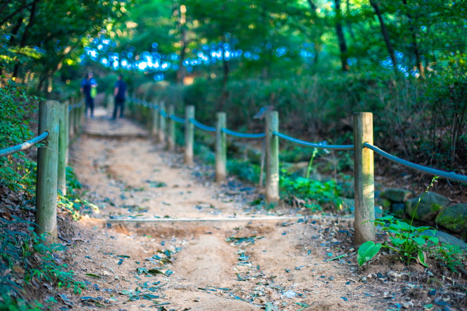 약사사 담벼락을 끼고 올라가는 길입니다.