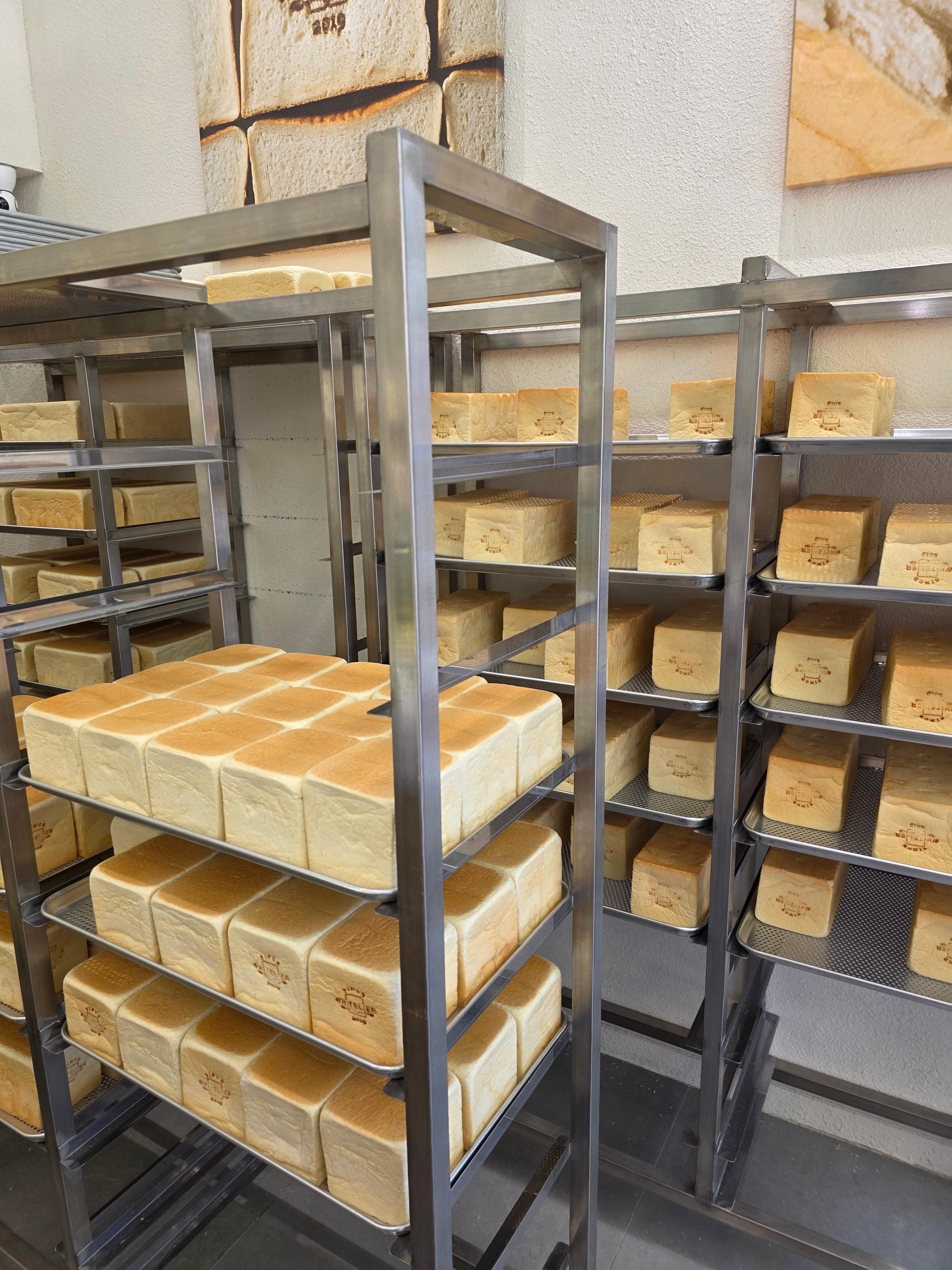 갓구워져 나온 식빵들