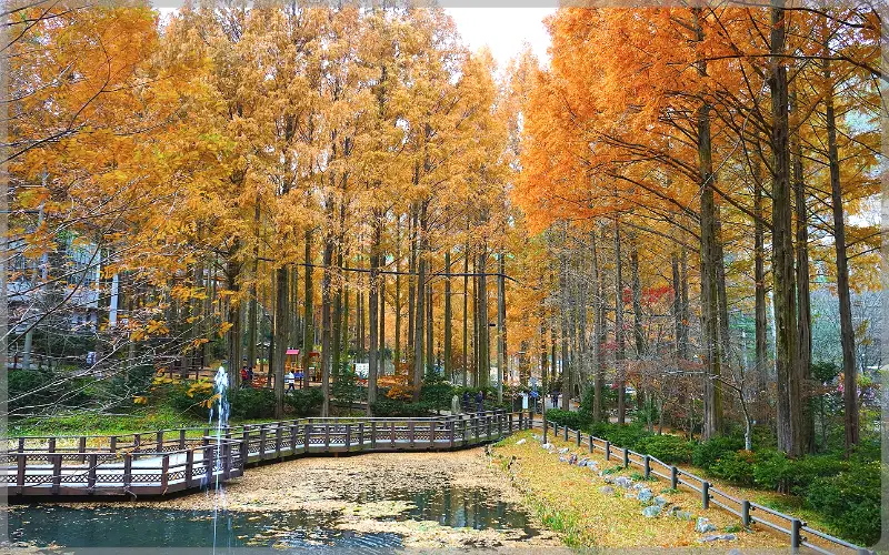 장태산 자연휴양림 예약_26