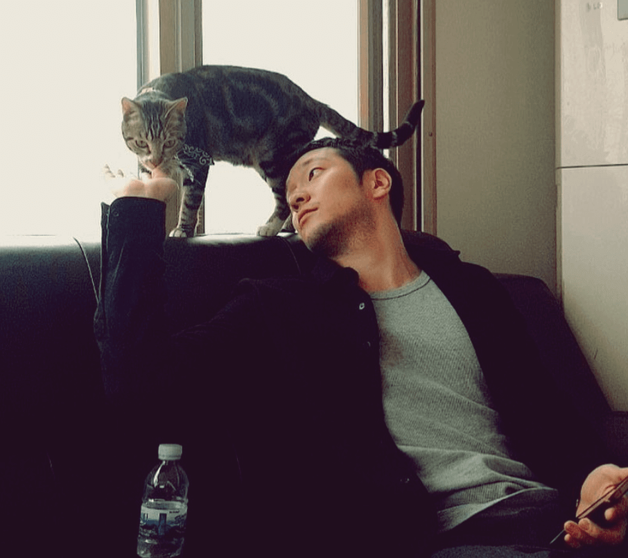 고양이와-놀아주는-배우-손석구