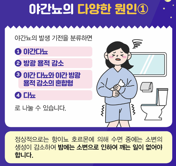 야간뇨의 다양한 원인 이미지