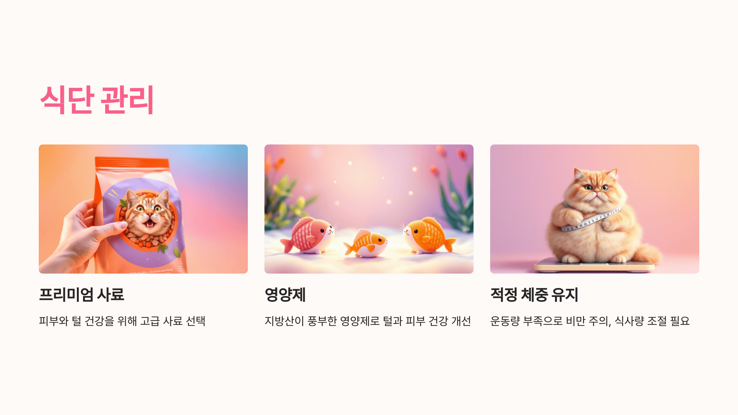 페르시안 고양이 사진입니다.