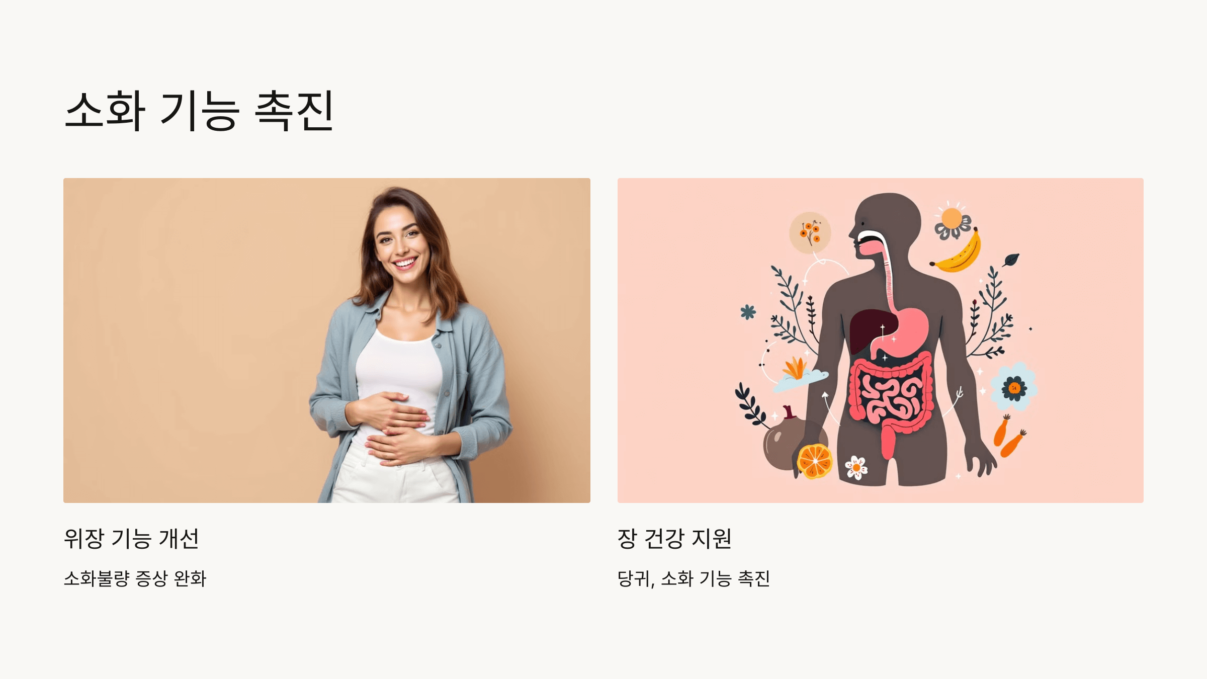 당귀 사진입니다.