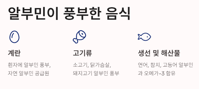 알부민이 풍부한 음식