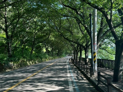 구례 섬진강 자전거길 코스 전라도 여행지 추천