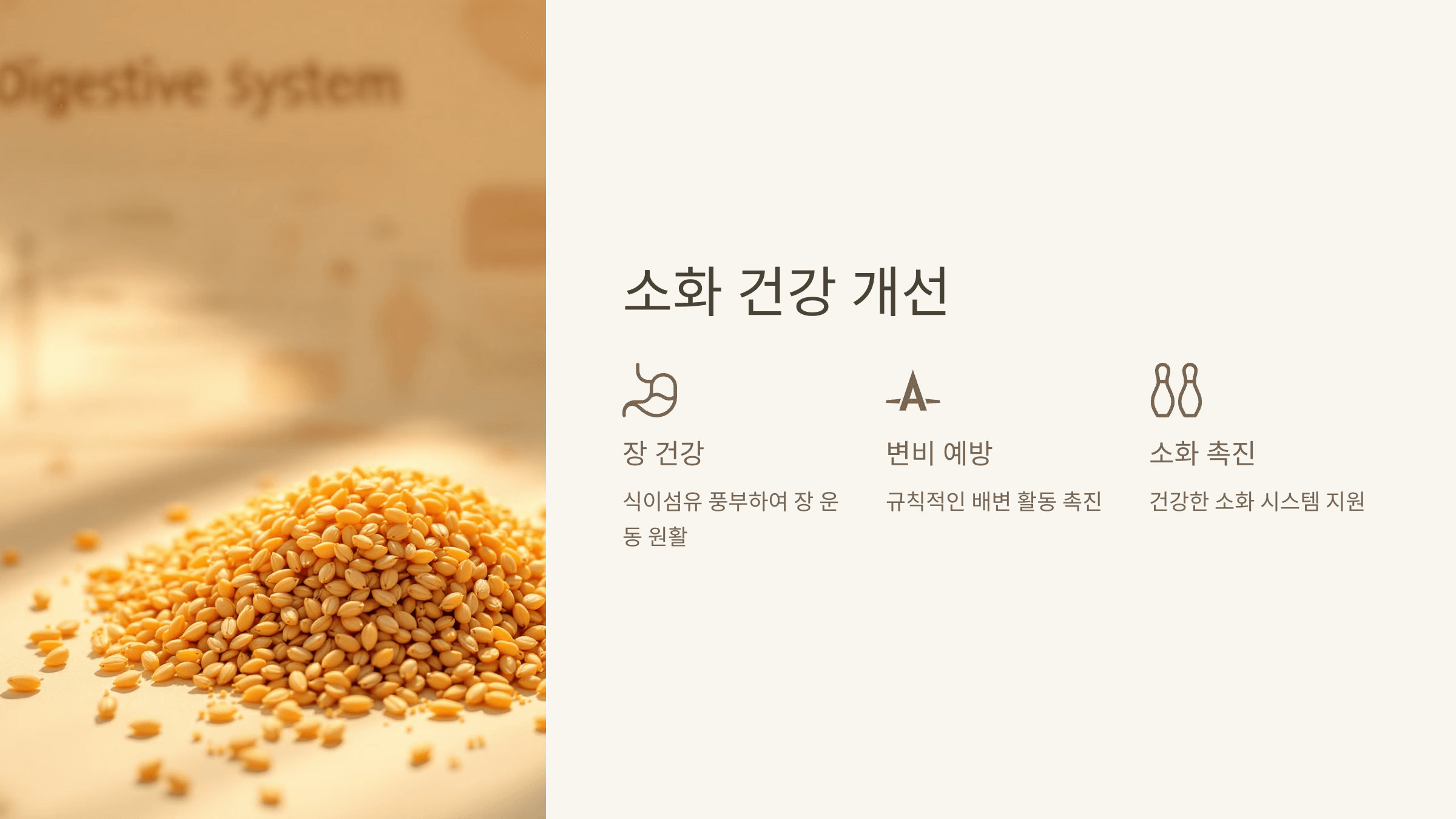 파로 곡물 사진입니다.