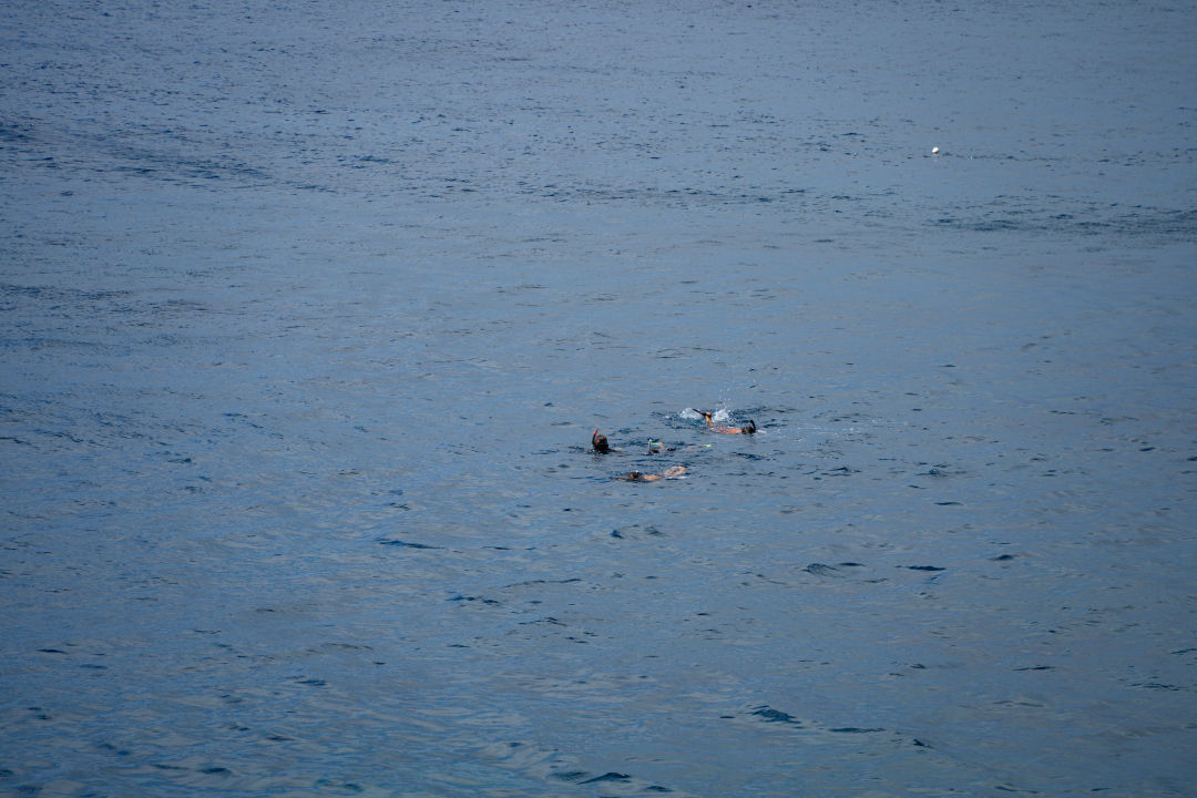 하와이 사우스 포인트 바다 수영