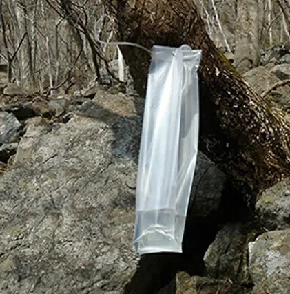 고로쇠물 효능 4가지