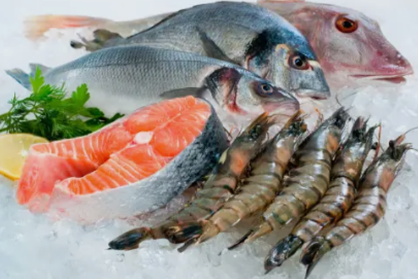 냉동밥 유통기한