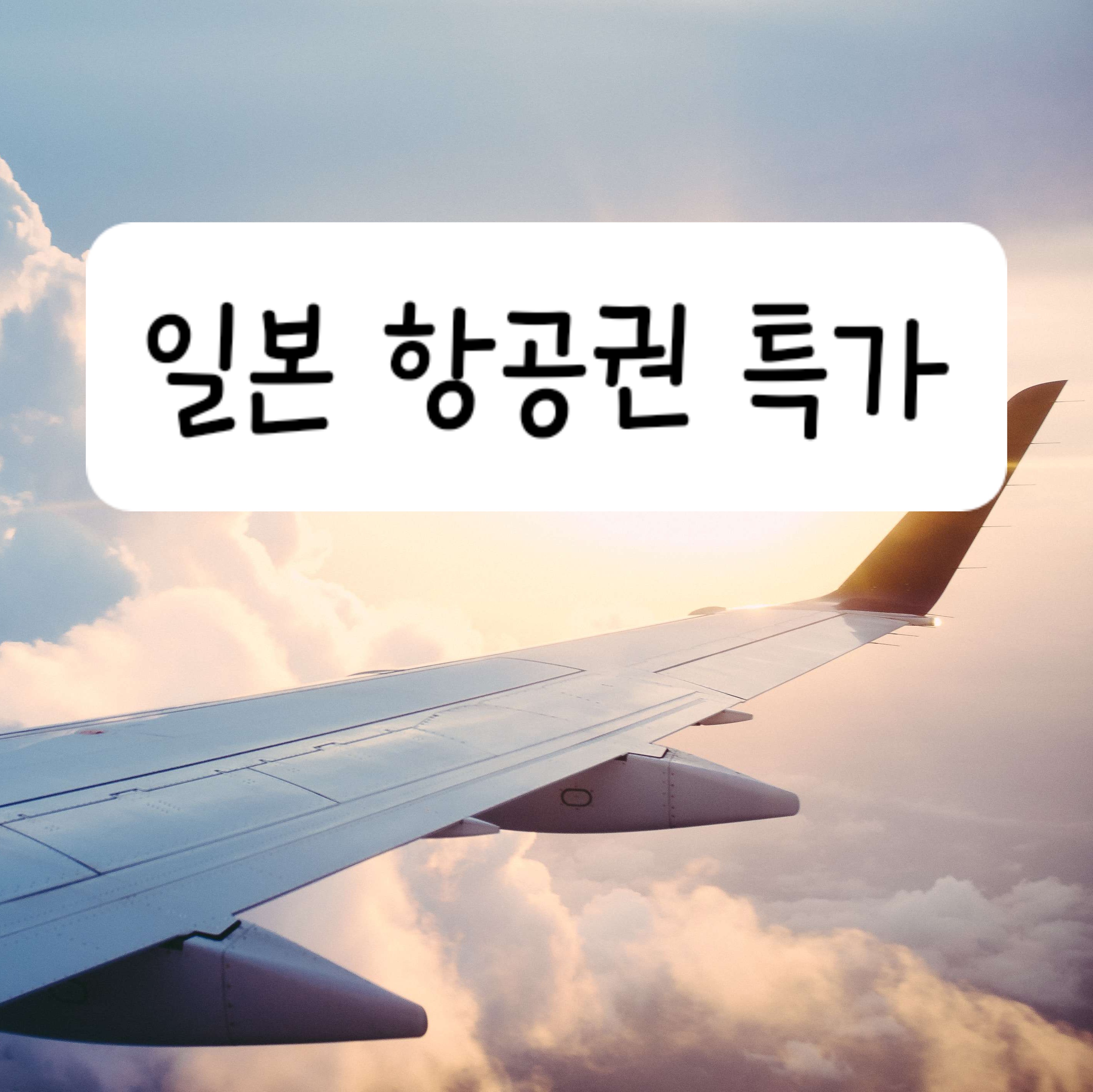 일본 항공권 특가