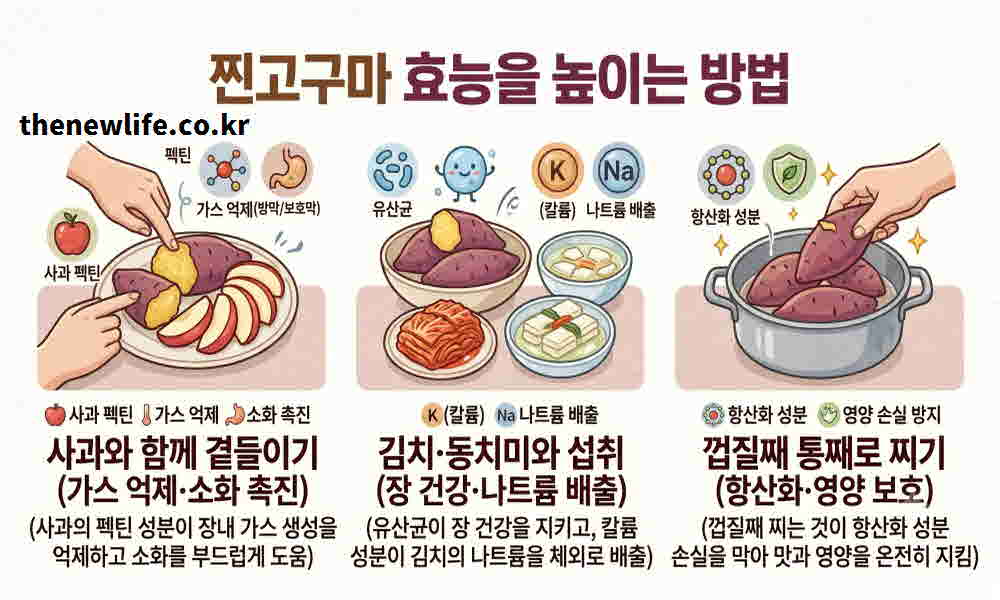 찐고구마 효능 높이는 요리
