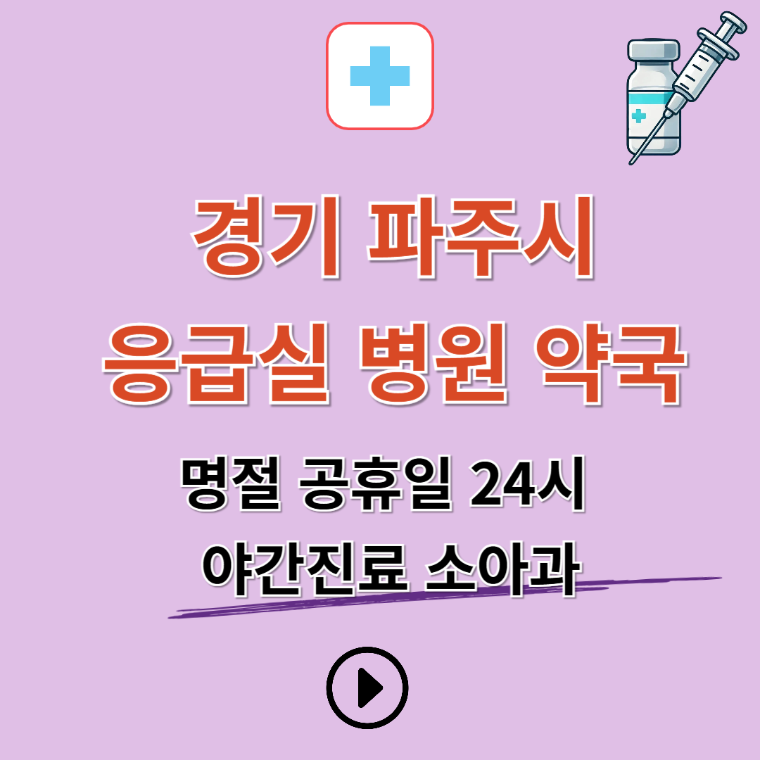 파주시 응급실 병원 약국 찾기 (명절 공휴일 24시 야간진료 소아과)