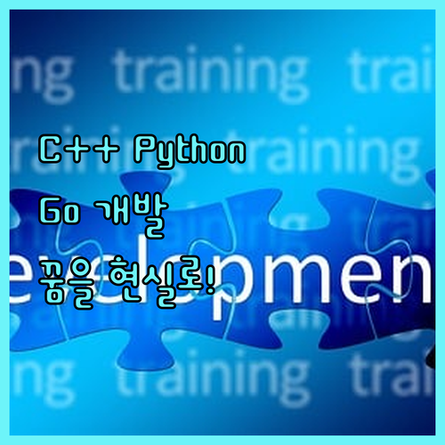 C++, Python, Go 맞춤형 