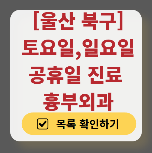 울산 북구 주말 토요일 일요일 흉부외과 진료 병원 목록 ❘ 공휴일 진료 영업 병원 리스트 찾기