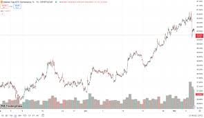 암호화폐_지표_비트코인_도미넌스_올바르게_파악_후_알트불장도_파악하는_법