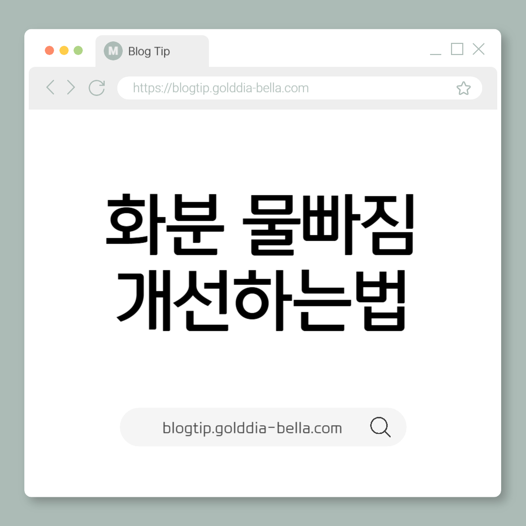 화분 물빠짐 개선