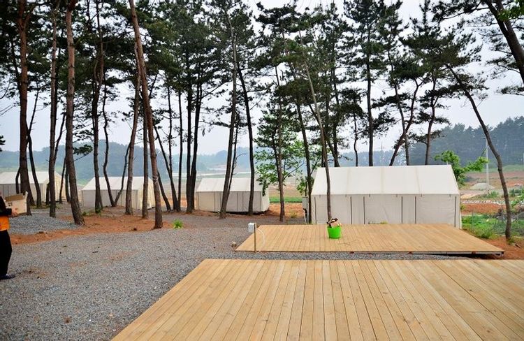 충남 서천 늘푸른캠핑장 소개