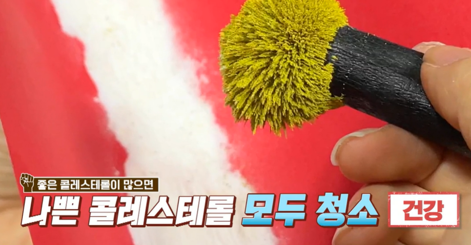 발효 홍국 효능