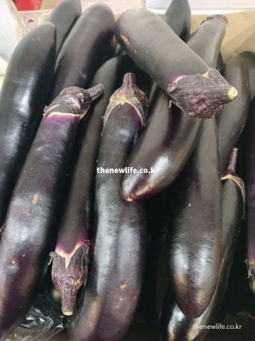 지용성 비타민 흡수율을 높이기 위해 들기름에 볶은 가지 요리 실물 사진