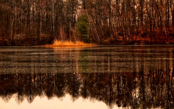 숙박 세일 페스타 완벽 정리 15