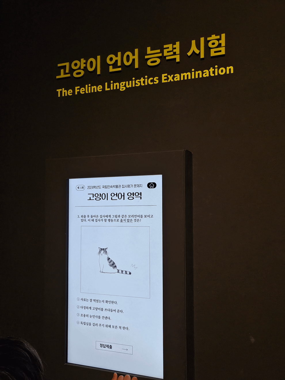 국립민속박물관, 고양이전시, 광화문전시, 종로전시, 추천전시, 어린이전시추천