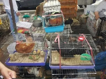 김포 5일장 날짜와 주차정보 먹거리를 안내_14